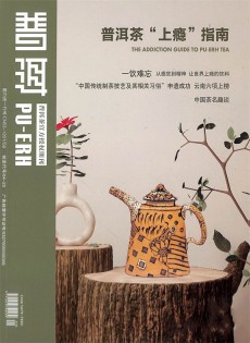 普洱