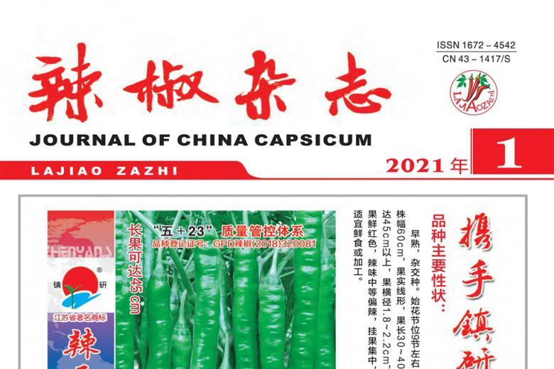 《辣椒》杂志发表的文章能用于评职称、毕业、结项、加分吗？