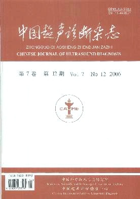 中国超声诊断杂志封面