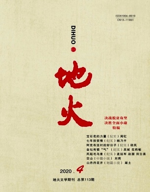 地火杂志封面