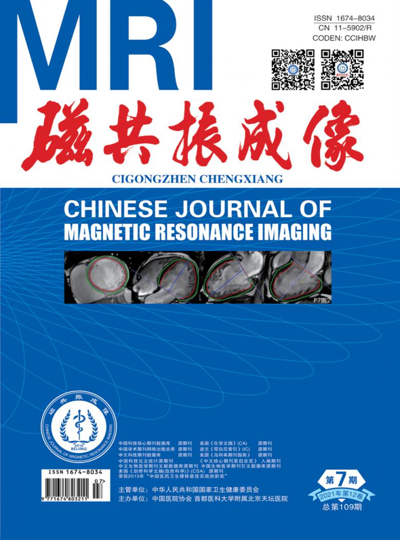磁共振成像杂志封面