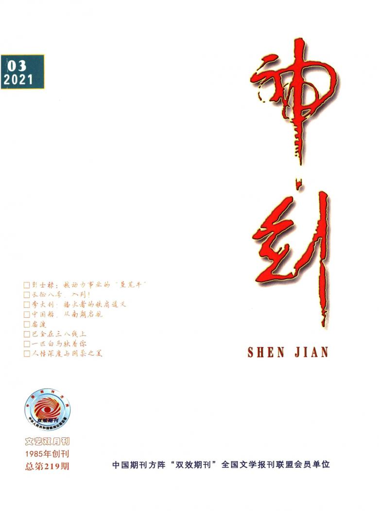 神剑杂志封面