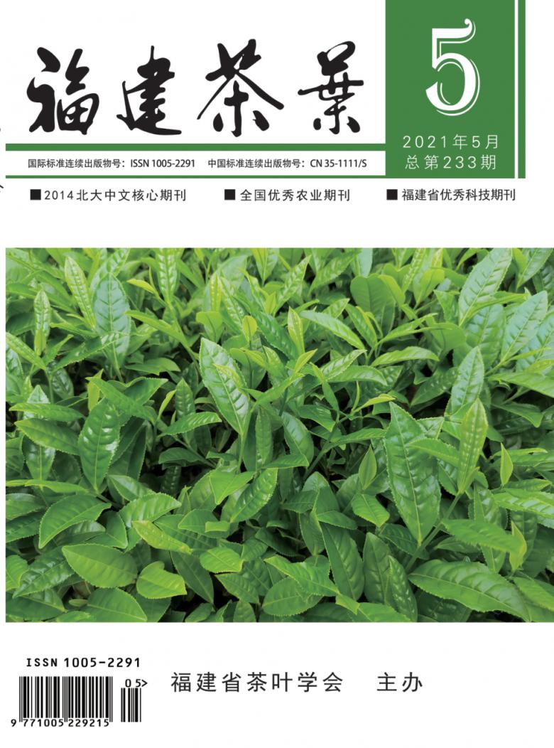 福建茶叶杂志封面