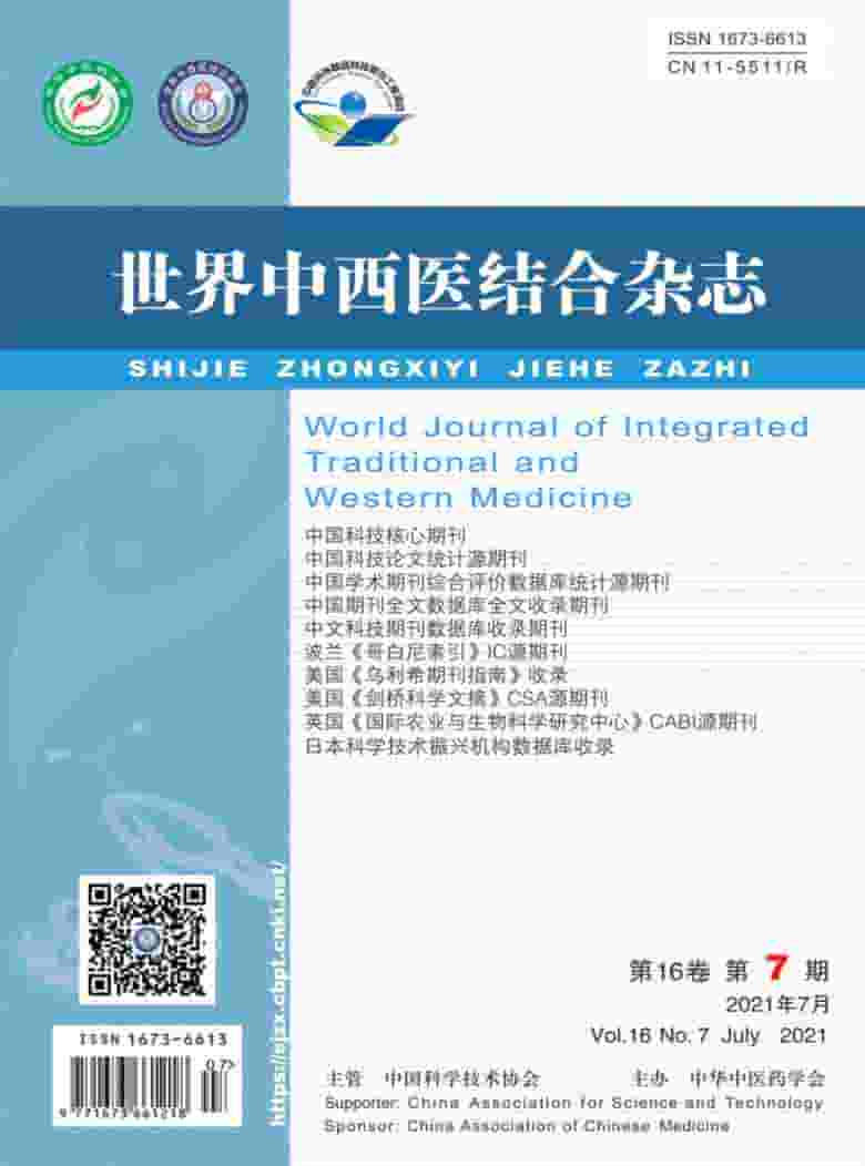 世界中西医结合杂志封面