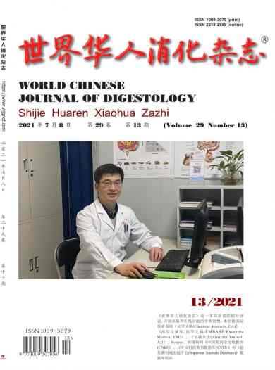 世界华人消化杂志封面