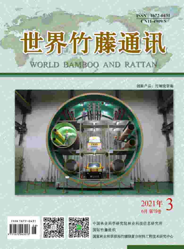 世界竹藤通讯杂志封面