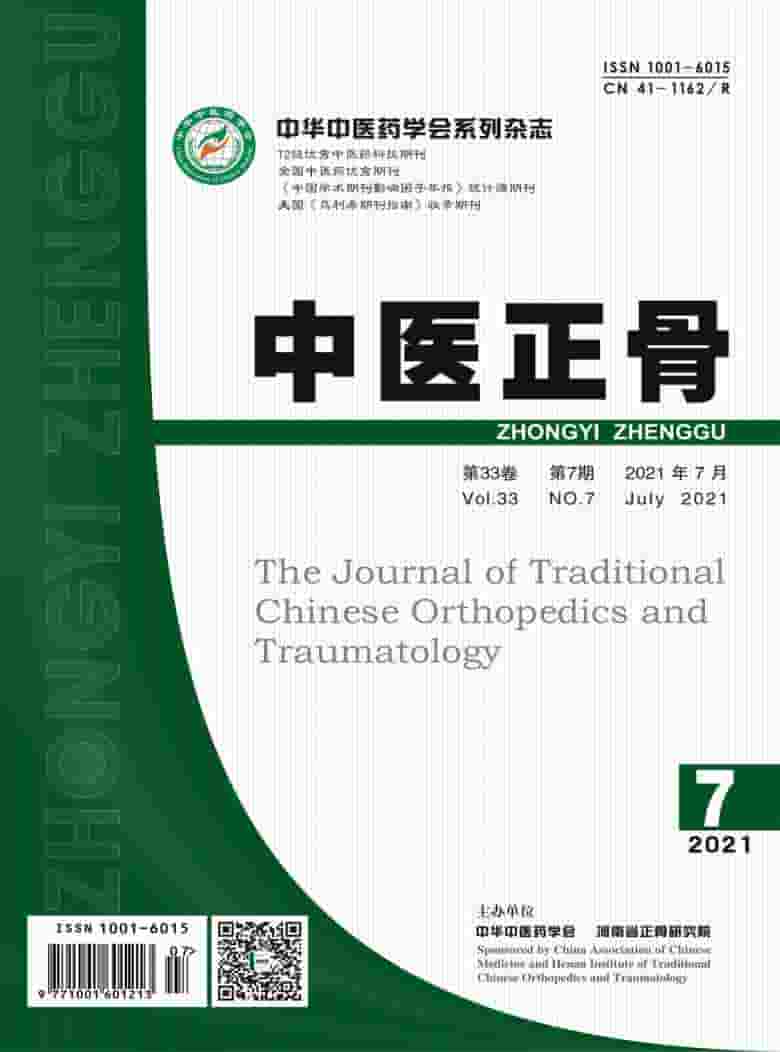 中医正骨杂志封面