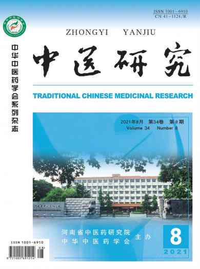 中医研究杂志封面
