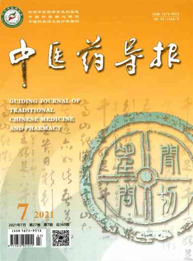 中医药导报杂志封面