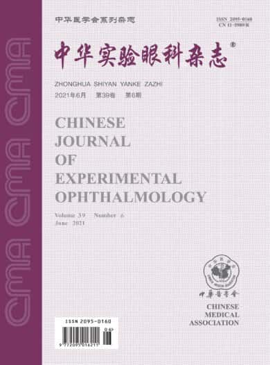 中华实验眼科杂志封面