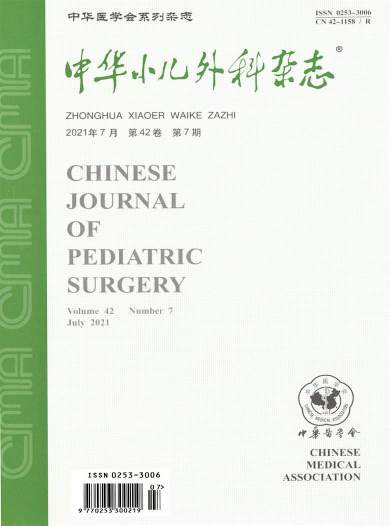 中华小儿外科杂志封面