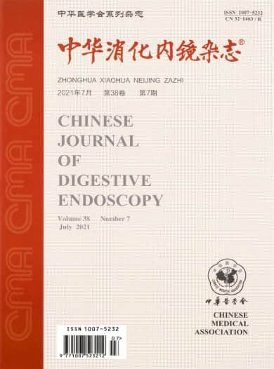 中华消化内镜杂志封面