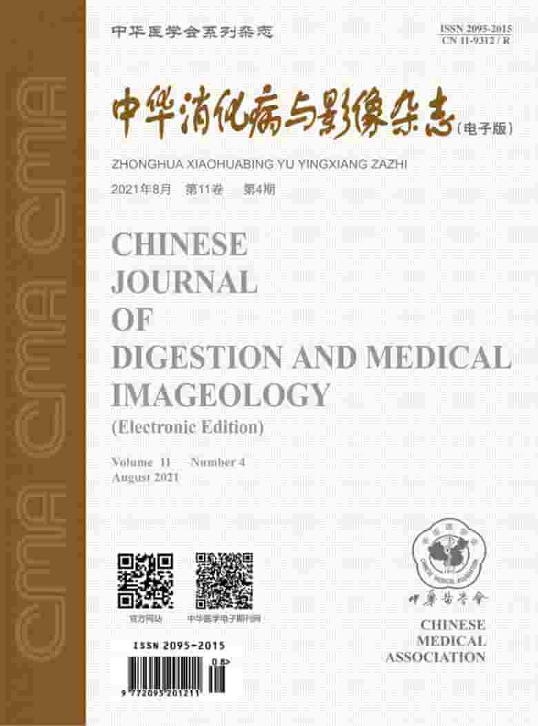 中华消化病与影像杂志封面