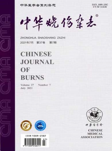 中华烧伤杂志封面
