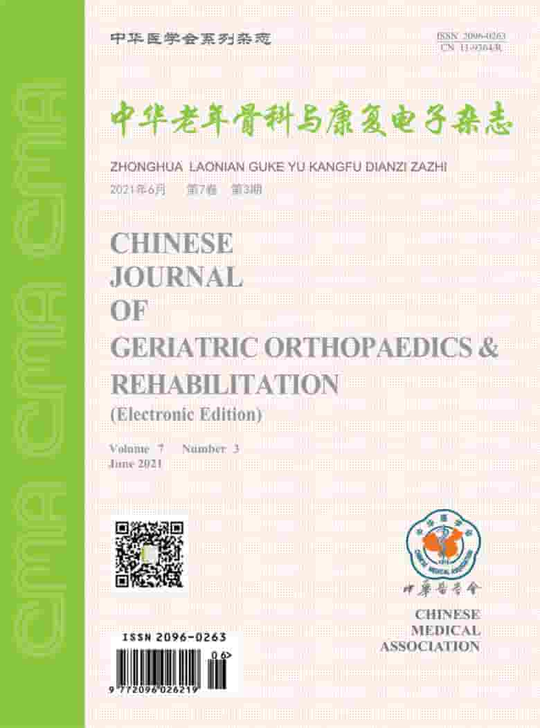 中华老年骨科与康复电子杂志封面