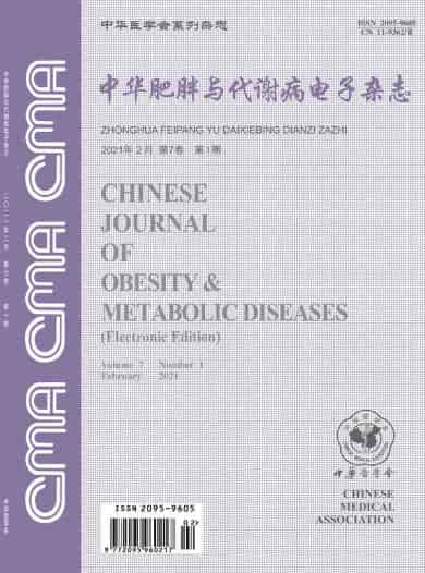 中华肥胖与代谢病电子杂志封面
