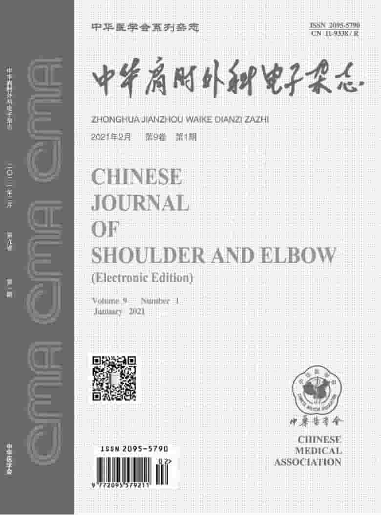 中华肩肘外科电子杂志封面