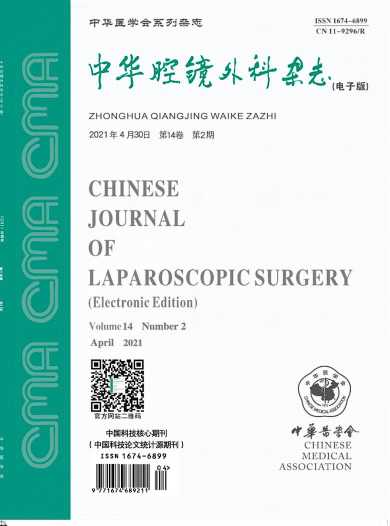 中华腔镜外科杂志封面