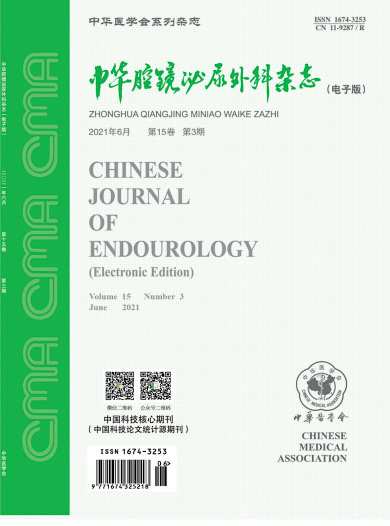 中华腔镜泌尿外科杂志封面