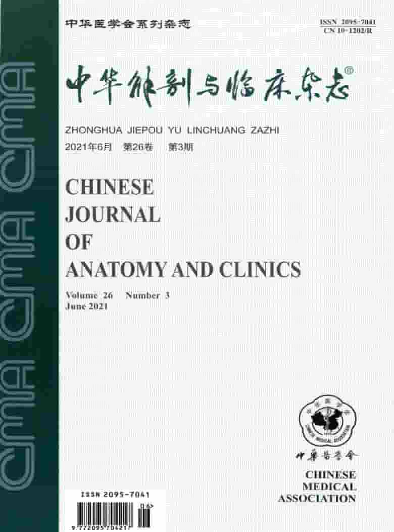中华解剖与临床杂志封面