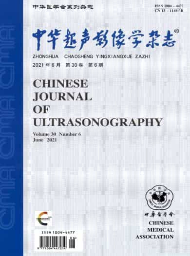 中华超声影像学杂志封面
