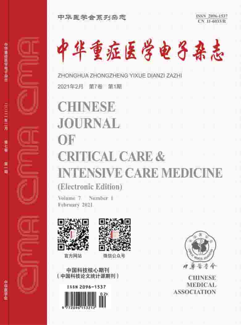 中华重症医学电子杂志封面