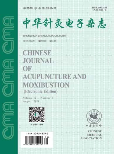中华针灸电子杂志封面
