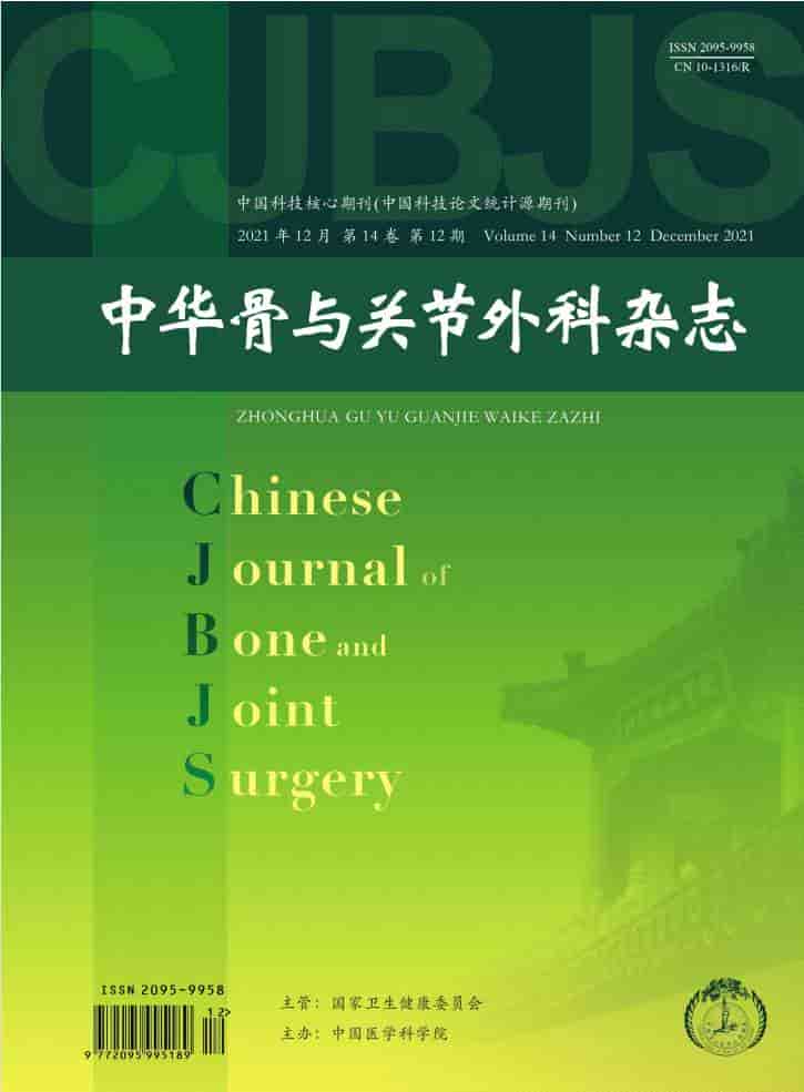中华骨与关节外科杂志封面