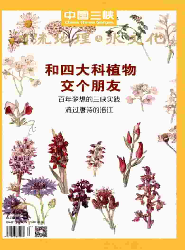 中国三峡杂志封面