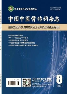 中国中医骨伤科杂志封面