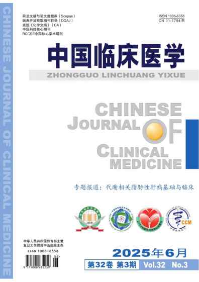 中国临床医学杂志封面