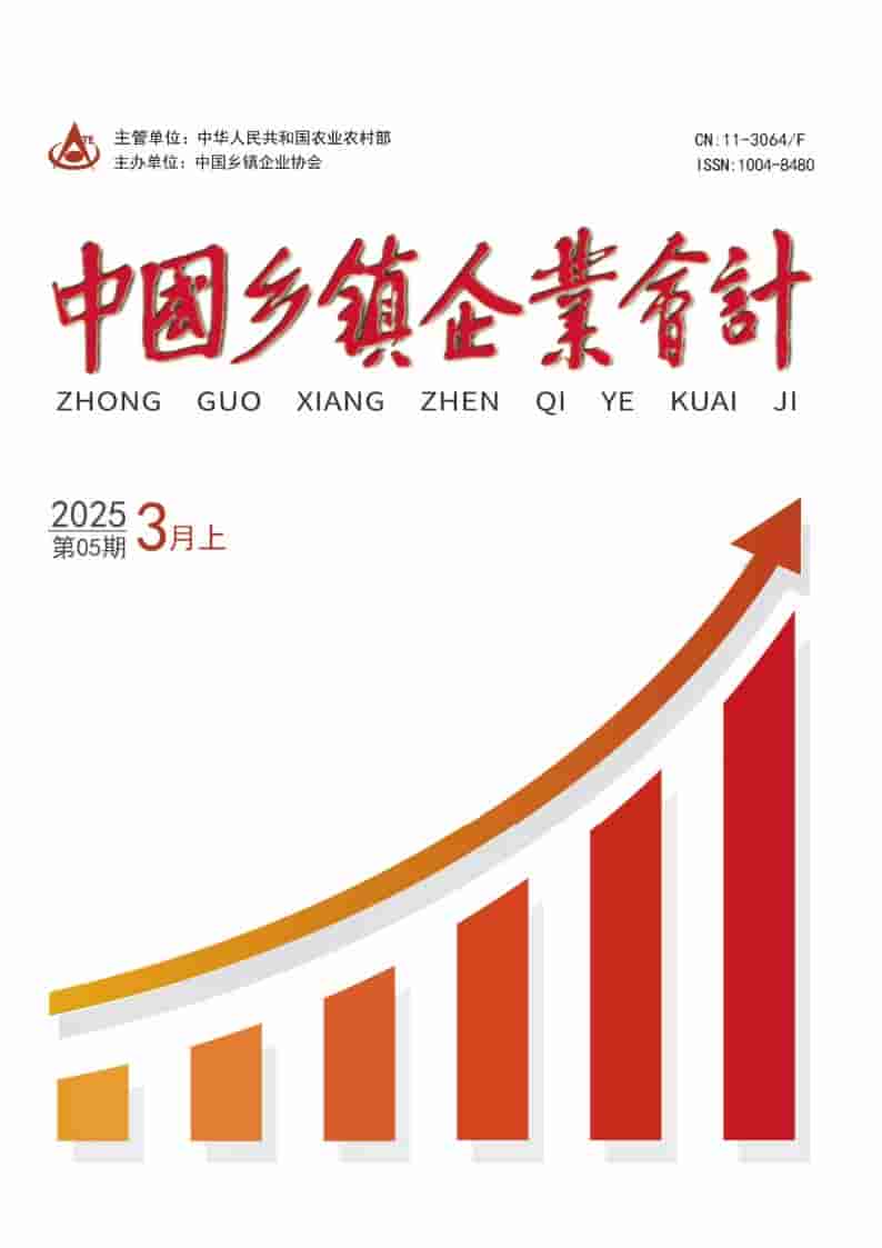 中国乡镇企业会计杂志封面