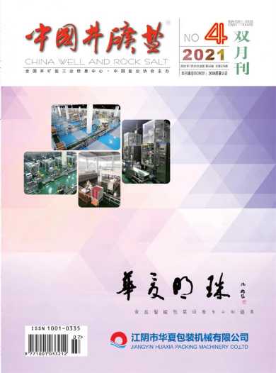 中国井矿盐杂志封面