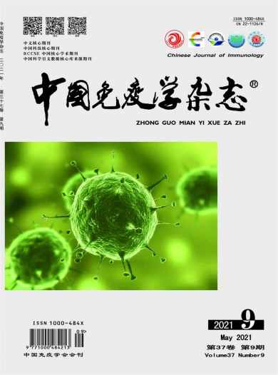 中国免疫学杂志封面