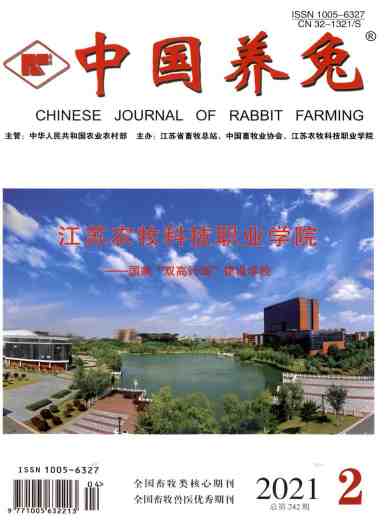 中国养兔杂志封面