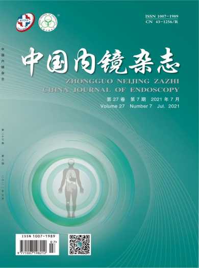 中国内镜杂志封面