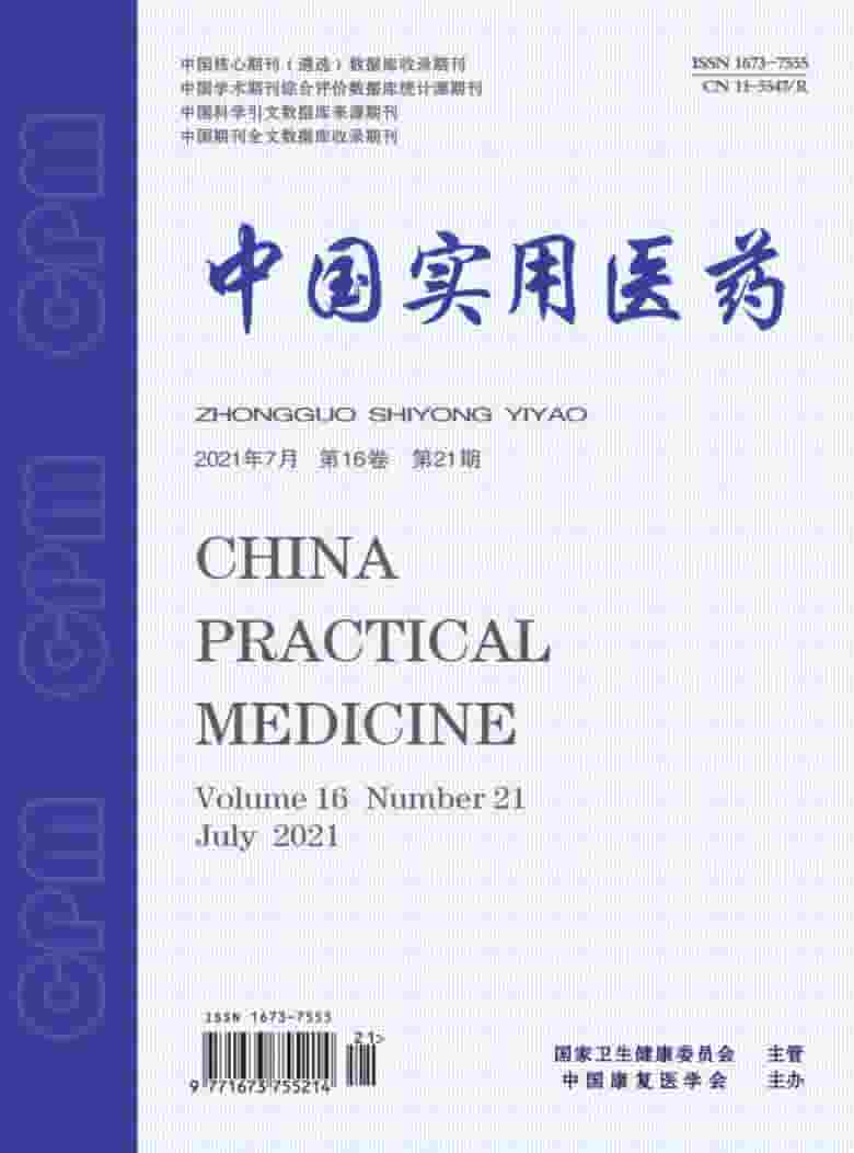 中国实用医药杂志封面