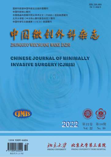 中国微创外科杂志封面