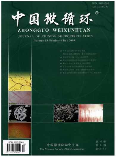 中国微循环杂志封面