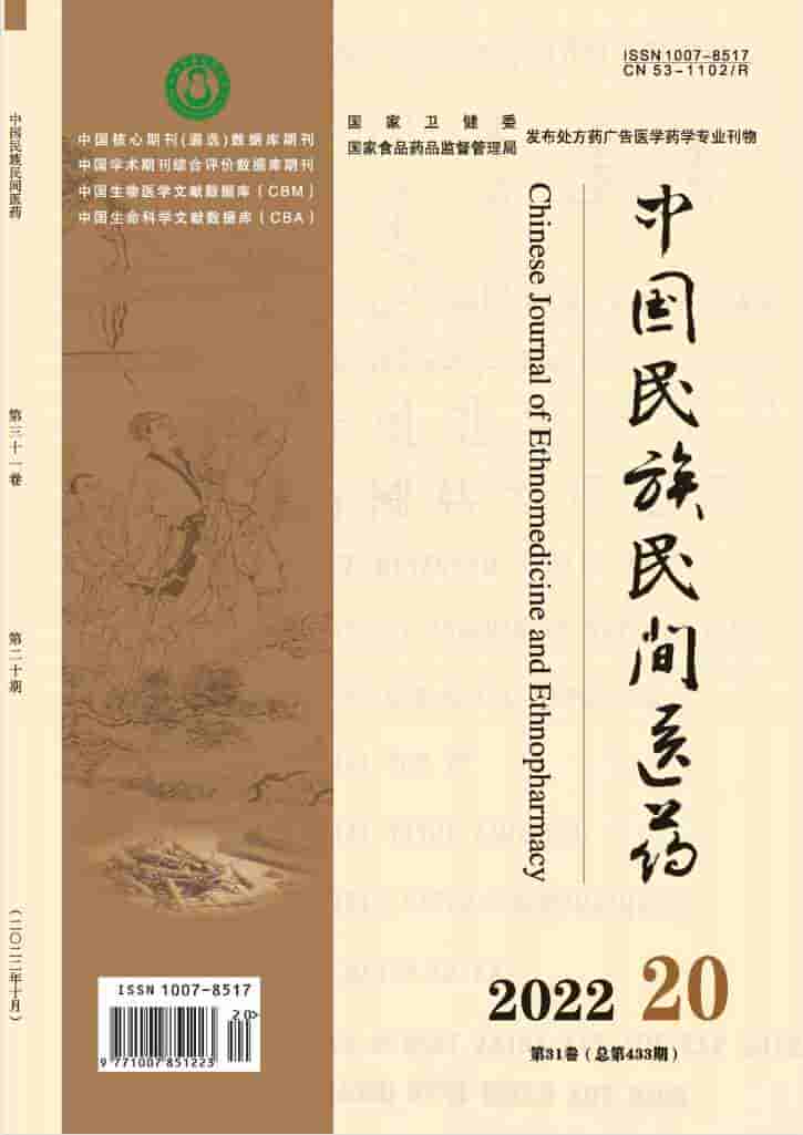 中国民族民间医药杂志封面