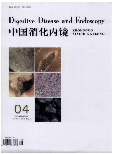 中国消化内镜杂志封面