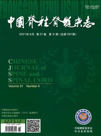 中国脊柱脊髓杂志封面