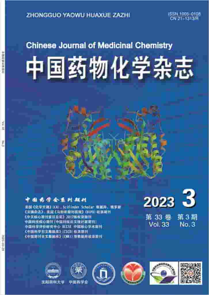 中国药物化学杂志杂志封面