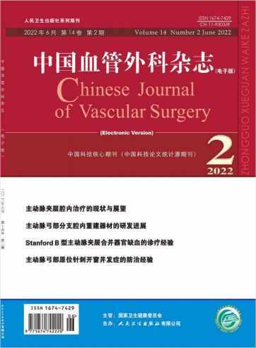 中国血管外科杂志封面