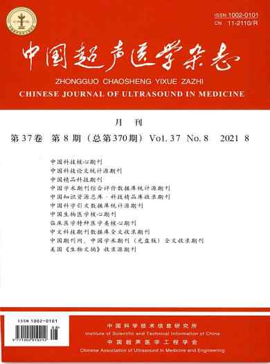 中国超声医学杂志封面