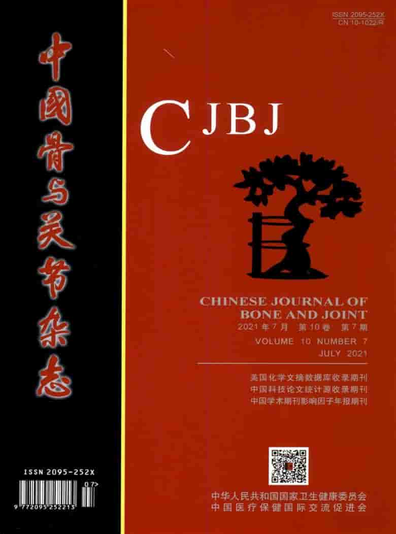 中国骨与关节杂志封面