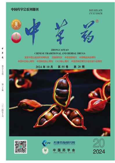 中草药杂志封面