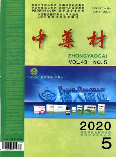 中药材杂志封面