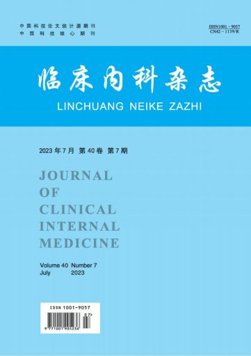 临床内科杂志杂志封面