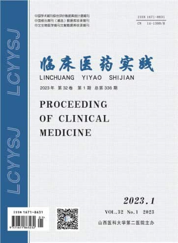 临床医药实践杂志封面